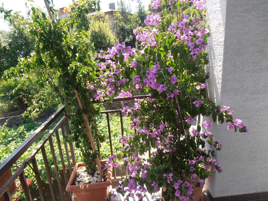 Guesthouse Villa Stanger 로브란 외부 사진